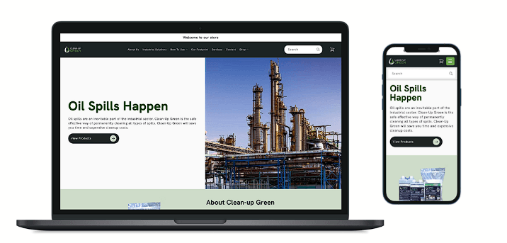 Screenshot of my Shopify project